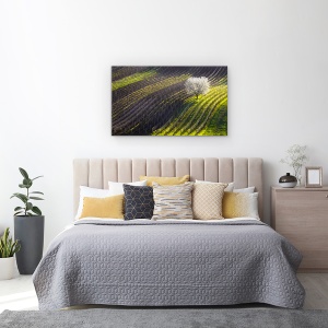 Tablou canvas - Corzi De Primavara, Copac, Linii, Vin, Struguri, 50 x 80 cm - Img 3