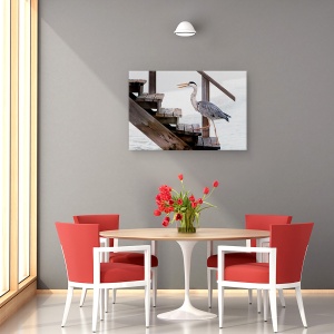 Tablou canvas - Cu Un Pas Ferm, Heron, Scari, Maldive, Pasare, 40 x 60 cm - Img 4