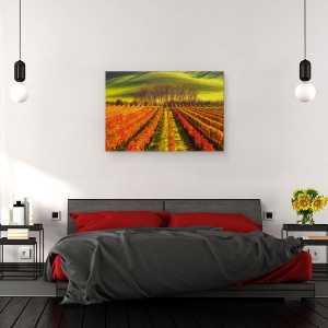 Tablou canvas - Cultivarea Vitei De Vie, Moravia, Campuri, Podgorie, Rural, 40 x 60 cm - Img 3