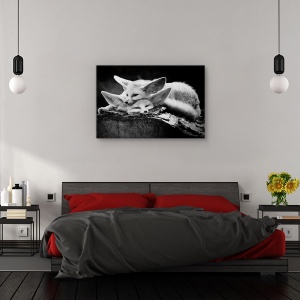 Tablou canvas - Cuplul fericit, Animal, Odihna, imbratisare, Bucurie, 60 x 90 cm - Img 3