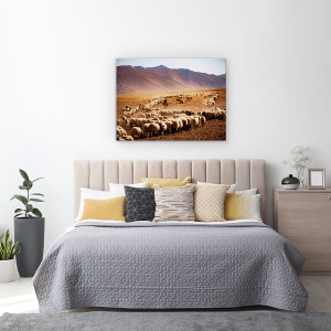 Tablou canvas - Curcan, Documentar, Oaie, Animal, Cioban, 75 x 100 cm - Img 3