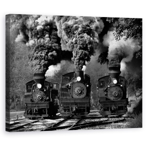 Tablou canvas - Cursa Cu Trenul, Abur, Fum, Alb-Negru, 60 x 75 cm