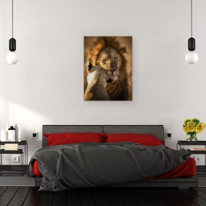 Tablou canvas - Da-Mi Putina Dragoste, Salbatic, Animal, Calatorie, 75 x 100 cm - Img 3