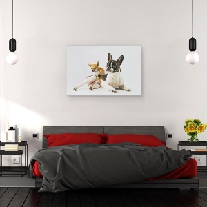 Tablou canvas - Dali & Alfredo, Caine, Animale, Pet, 80 x 120 cm - Img 3