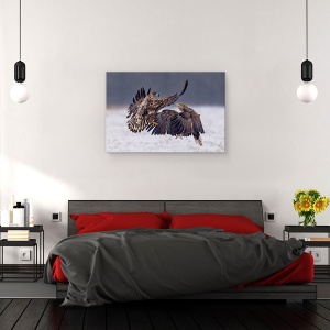 Tablou canvas - Dansand In Zapada, Salbatic, Pasare, 80 x 120 cm - Img 3