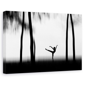 Tablou canvas - Dansand, Silueta, Dansatoare, 60 x 90 cm