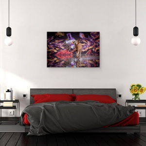 Tablou canvas - Dansator In Intuneric, Caine, Portret, Industrie, Apa, Caini, 80 x 120 cm - Img 3