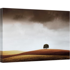 Tablou canvas - Deal, Dealuri, Peisaj, Furtuna, Tunet, Ferma, 80 x 120 cm