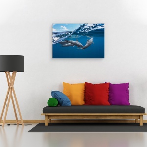 Tablou canvas - Delfinii, Delfin, Delfini, Ocean, Mare, Sub Apa, 60 x 90 cm - Img 2