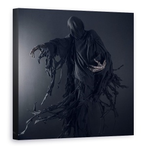 Tablou canvas - Dementor, Moarte, Monstru, Fantoma, 60 x 60 cm