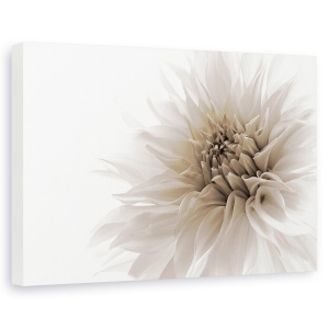 Tablou canvas - Demnitate, Flori, Flori, Luminos, Alb, 60 x 90 cm