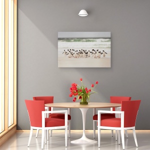 Tablou canvas - Desembarco, Natura, Animal, Pinguin, Salbatic, 60 x 90 cm - Img 4