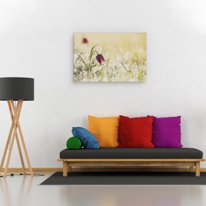 Tablou canvas - Dimineata, Olanda, Floare, Roua, Dimineata, Macro, 60 x 90 cm - Img 2