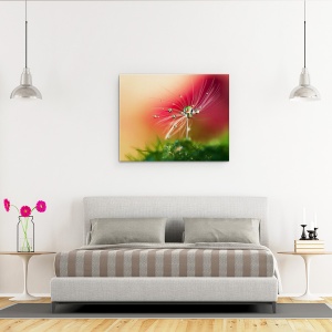 Tablou Canvas - Dimineata Rosie, Seminte, Picatura, Bland, Delicat, 60 x 75 cm - Img 3