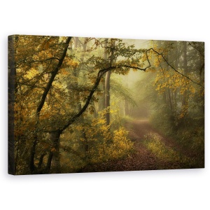 Tablou canvas - Dincolo De Vise Si Culoare, Pasiune, Peisaj, Padure, Vara, Cale, 50 x 80 cm