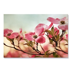 Tablou Canvas - Dogwood Dreams, 80 x 120 cm