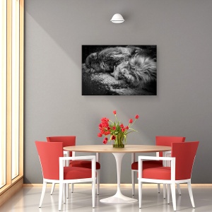 Tablou canvas - Dormind, Maimuta, Obosit, Odihna, 60 x 90 cm - Img 4