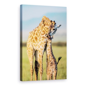 Tablou canvas - Dragostea Mamei, Dragut, Girafa, Mama, Copil, 60 x 90 cm