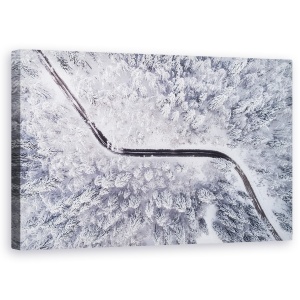 Tablou canvas - Drum Prin Padurea In Iarna, Peisaj, Aeriana, Alb-Negru, 50 x 80 cm