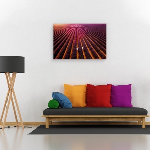 Tablou canvas - Drumul Nostru Spre… Noi, Levantica, Camp, Rural, 40 x 60 cm - Img 2
