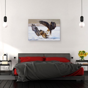 Tablou canvas - Duel, Natura, Pasare, Salbatic, Lupta, 40 x 60 cm - Img 3