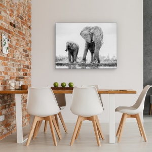 Tablou canvas - Duo, Elefant, Copil, Dragut, Salbatic, Africa, 60 x 80 cm - Img 4