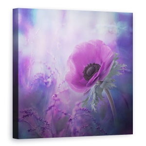 Tablou Canvas - Ecstasy, Violet, Floare, 60 x 60 cm