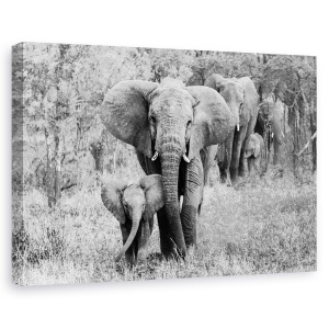Tablou canvas - Elefamily, Elefant, Tanzania, Animale, Mamifere, Natura, 60 x 90 cm