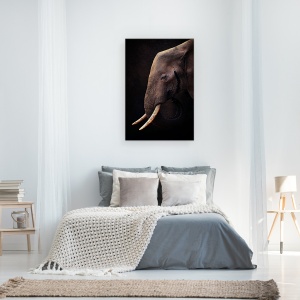 Tablou canvas - Elefant, Colti, Intelept, Cunoastere, 80 x 120 cm - Img 3
