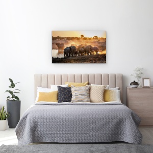 Tablou canvas - Elefant Ghemuit, Etosha, National, Parc, Animale, 50 x 80 cm - Img 3
