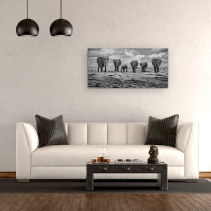 Tablou Canvas - Elefanti, Familie, Alb-Negru, Dragut, 50 x 100 cm - Img 2