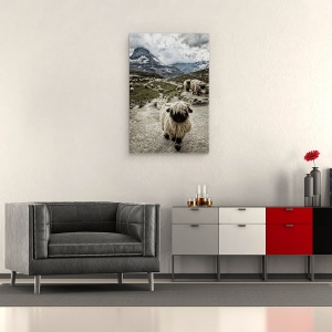 Tablou canvas - Eliberati-Mi Drumul, Oi, Valais, Blacknose, Matterhorn, Riffelsee, 60 x 90 cm - Img 2