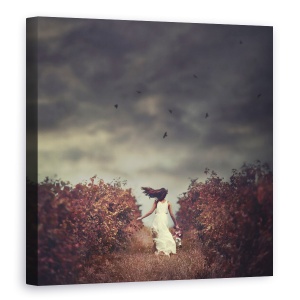 Tablou canvas - Evadare , Fata, Model, Femeie, Alergare, 60 x 60 cm