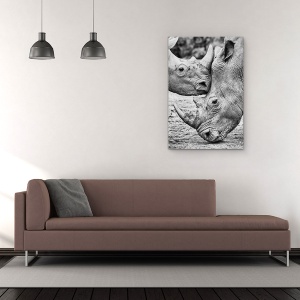 Tablou Canvas - Fata In Fata, Rinoceri, Coarne, Cantabria, Spania, Cabarceno, 60 x 90 cm - Img 2