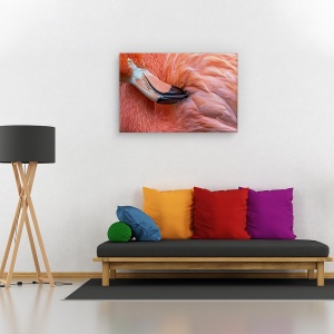 Tablou canvas - Flamingo , Nature, Pasare, Roz, Pene, 80 x 120 cm - Img 2