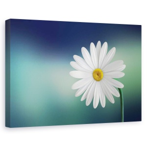 Tablou canvas - Flori, Flori, Vara, Verde, Culori Pastelate, 80 x 120 cm