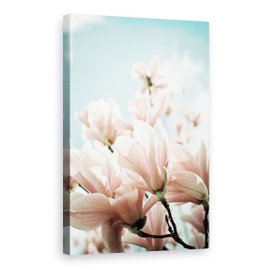 Tablou canvas - Flori, Natura, Flori, Soare, 40 X 60 cm