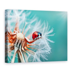 Tablou Canvas - Freedoom, Buburuza, Smoc Pufos, Macro, Papadie, Floare, 60 x 80 cm