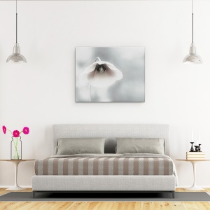 Tablou canvas - Frumusete Efemera, Floare, Maci, Alb, Fragil, Flora, 60 x 75 cm - Img 3