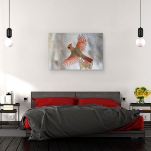 Tablou canvas - Furtuna De Zapada, Natura, Animal, Zbor, Salbatic, 60 x 90 cm - Img 3