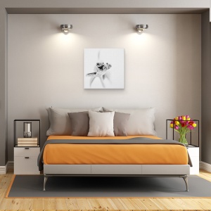 Tablou canvas - Gata Pentru Apropiere, Peste, Luminos, Alb, Alb-Negru, Pet, 60 x 60 cm - Img 3
