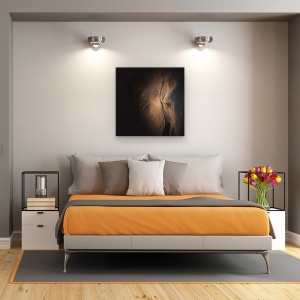 Tablou Canvas - Gigant Bland, Elefant, Botswana, Safari, 90 x 90 cm - Img 3