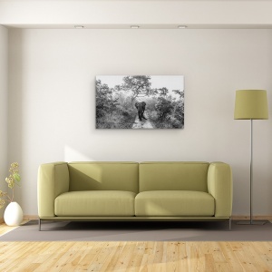 Tablou canvas - Gigant La Plimbare, Elefant, Salbatic, Africa, Safari, Natura, 50 x 80 cm - Img 2