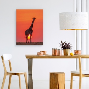 Tablou canvas - Girafa In Apus De Soare, Salbatic, Kenya, Salbatic, 60 x 80 cm - Img 4