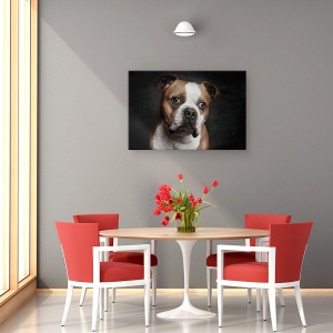 Tablou canvas - Hasi, Caini, Animale, Caine, Bulldog, Pet, 60 x 90 cm - Img 4