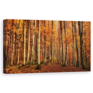 Tablou canvas - Iarna, Peisaj, Padure, Toamna, 50 x 100 cm
