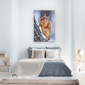 Tablou Canvas - Iarna, Veverita, Fauna Salbatica, Iarna, Zapada, Inghet, 80 x 120 cm - Img 4