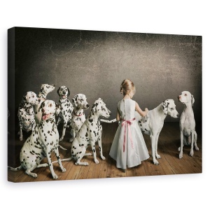 Tablou canvas - Imaculat, Dalmatieni, Caini, Caine, 40 x 60 cm