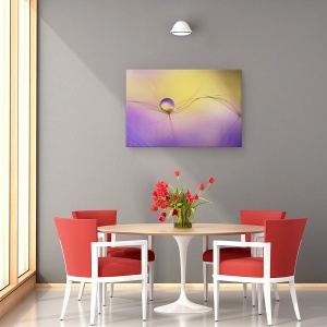 Tablou canvas - In Brate, Pana, Picatura, Picatura De Apa, Perla, 40 x 60 cm - Img 4