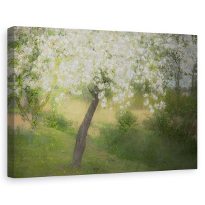 Tablou canvas - In Gradina, Copac, Primavara, Expunere Multipla, Flori, 80 x 120 cm